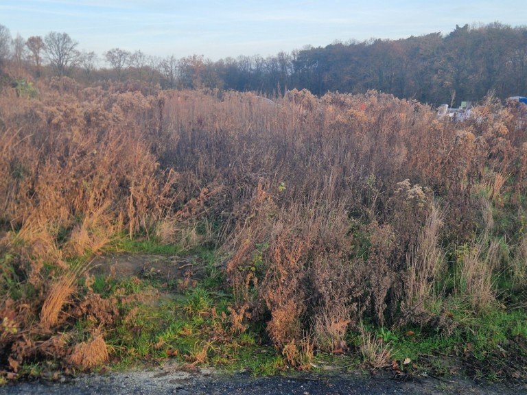  Haltern am See Wohngrundst�ck Baugrundst�ck im Neubaugebiet Nesberg in Haltern am See