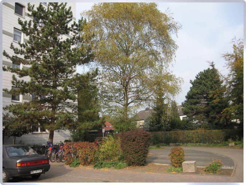 Zuwegung drau�en Wohnung Waltrop